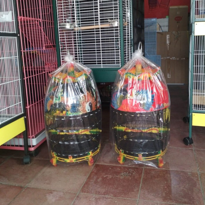 Promo Kandang Burung Perkutut Mahkota Biasa