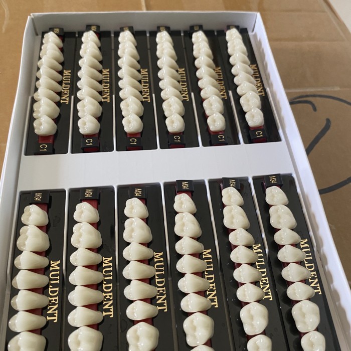 GIGI MULDENT GERAHAM 1 BOX ISI 12 PAPN