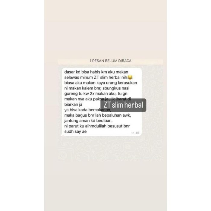 Neww Zt Slim Herbal By Zt