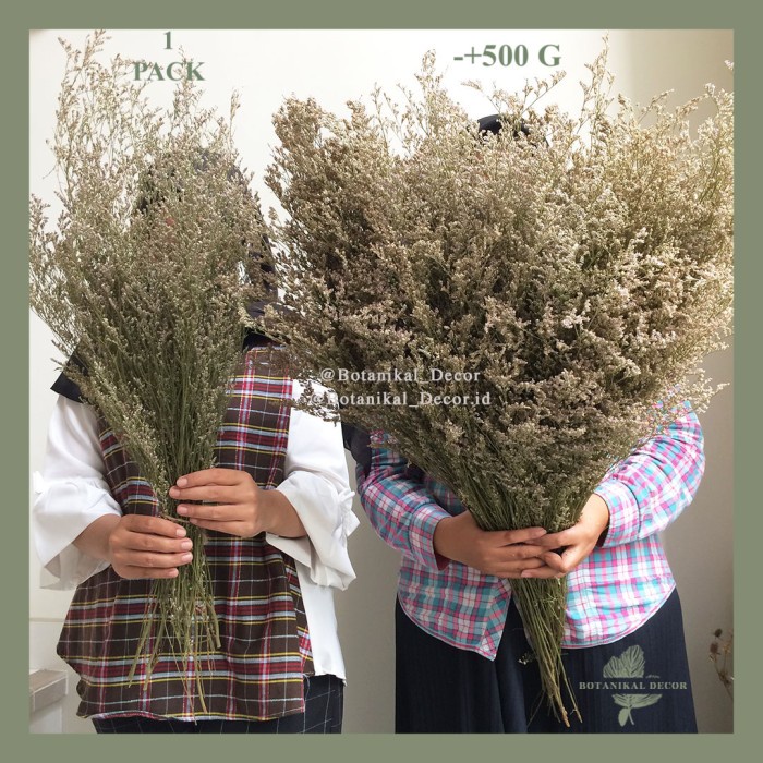 Dried Flower Caspea Lovergrass Reseller Grosir Bunga Kering Asli buket