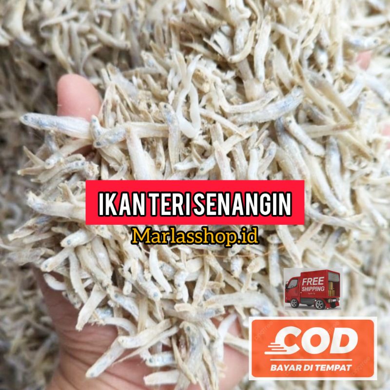 

Teri Senangin Medan 1 Kg