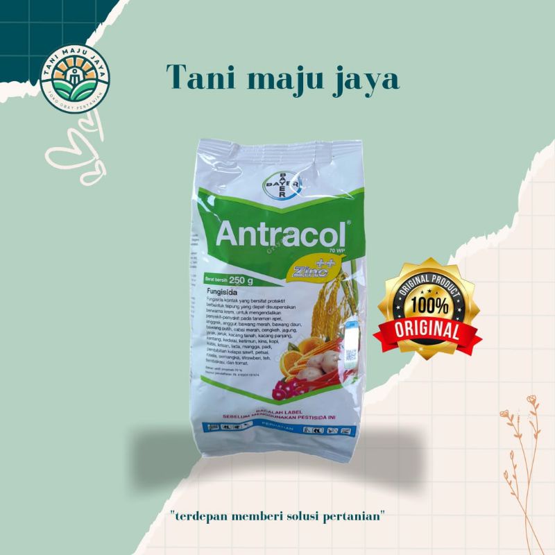 ANTRACOL 70 WP 250 GRAM