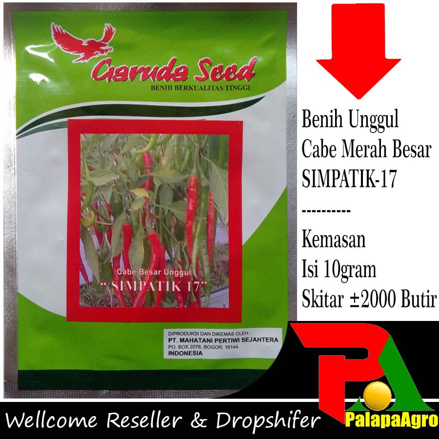 Cabe Merah = Benih Bibit Sayuran Buah Cabe Merah Besar Simpati 10Gram - Bibit Cabe Merah Besar