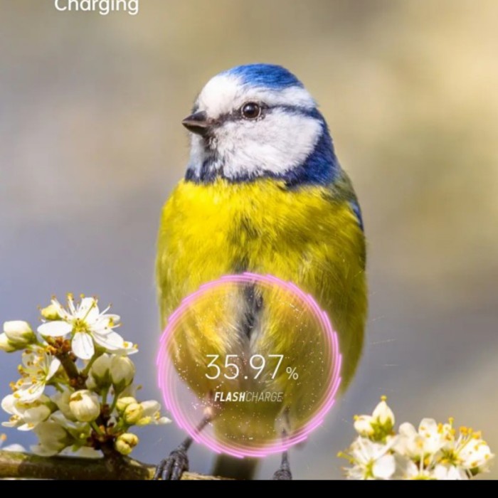 CHANGER OPPO RENO 5 RENO 6 65WATT 6.5A TYPE C ORIGINAL 100%