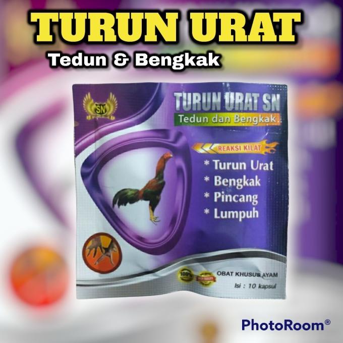 OBAT TURUN URAT SN TEDUN AYAM KAKI BENGKAK PINCANG LUMPUH