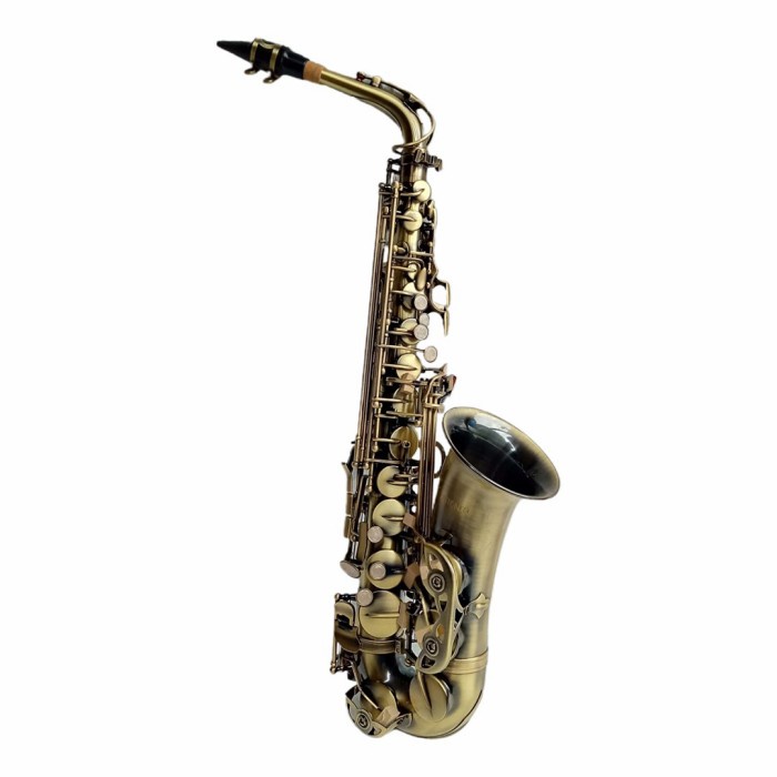 

✨Sale Alto Saxophone Alto Antonio Ywas-04 Antique Diskon