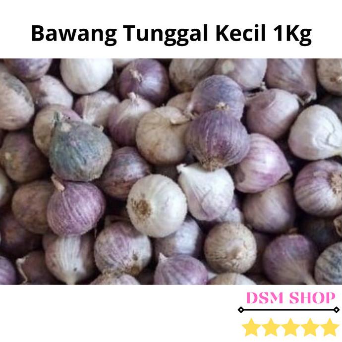 

Bawang Putih Tunggal/Bawang Putih Lanang Import 1KG
