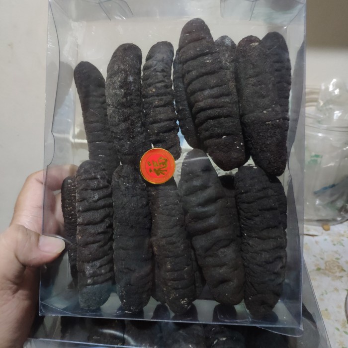 

teripang Belitung isi 15-16pcs perkilo