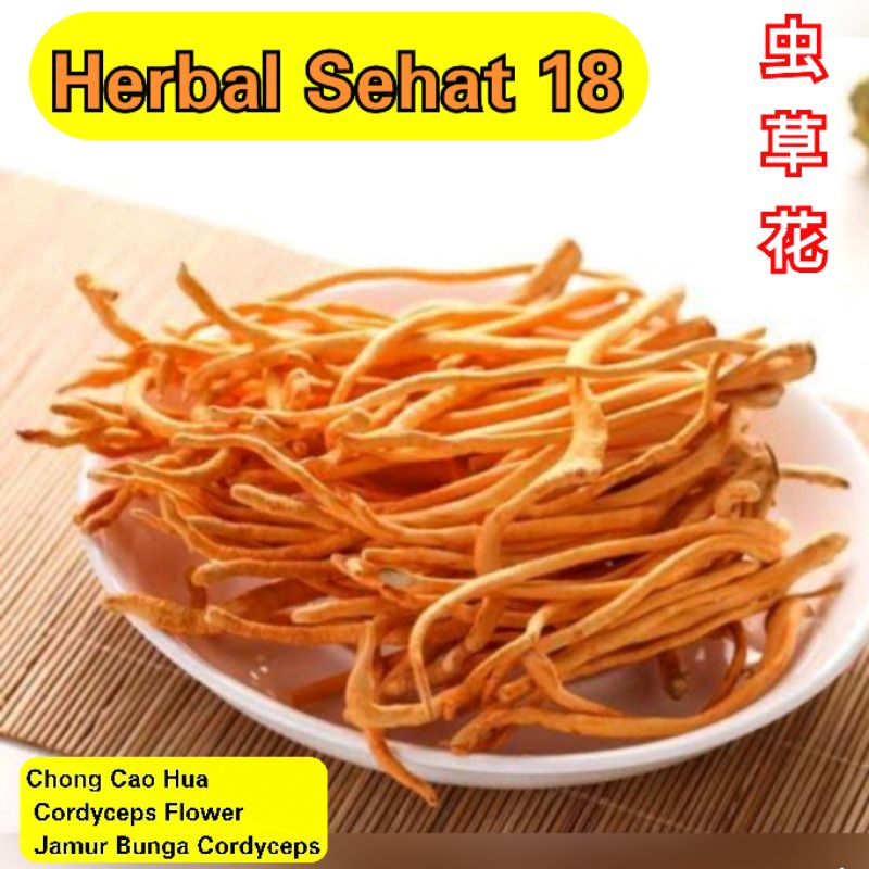 

Chong Cao Hua 100 Gram Cordyceps Flower / Jamur Bunga Cordyceps / Cordyceps