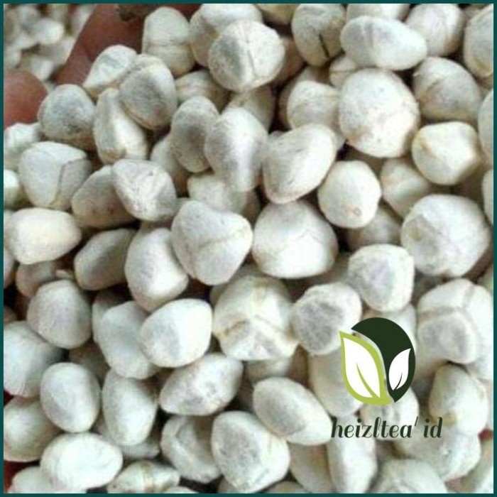 

BUBUK BIJI KELOR KUPAS 1KG ORGANIK / SUPERFOOD / FOODGRADE /