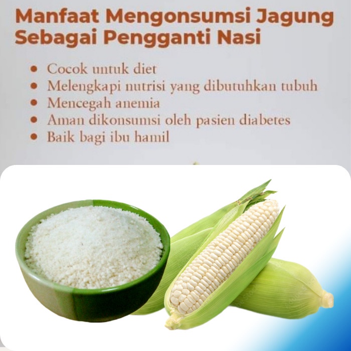 

Jag/Grit Jag/Ampok Jag Kualitas Piihanenak & Pulen