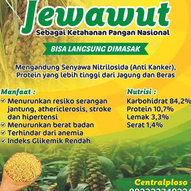 

Jewawut Biji Kunyit Millet Sekoi Asli Sulawesi
