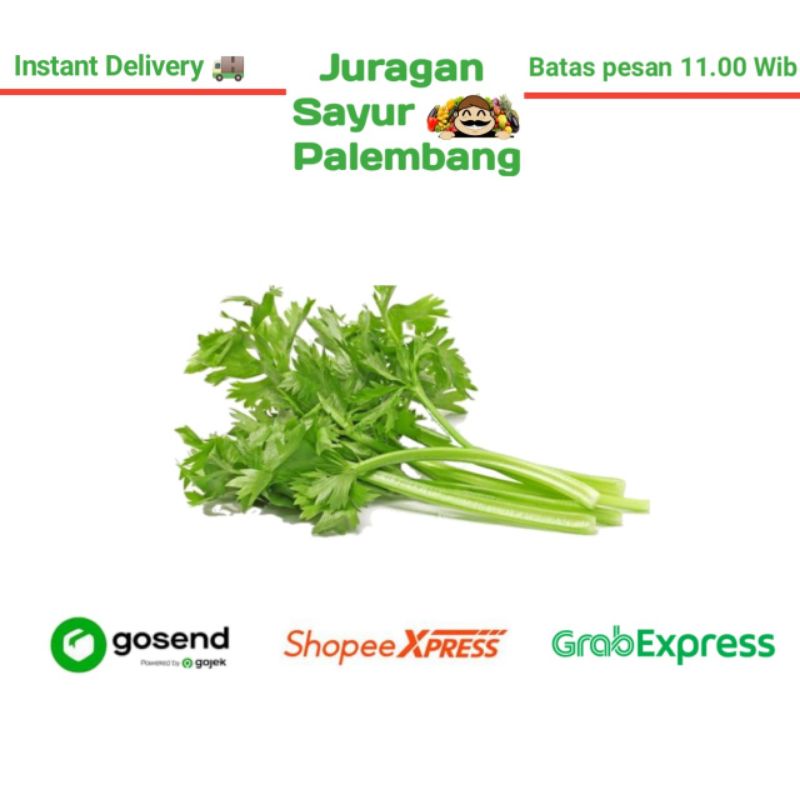 

Daun Sop / Daun seledri - Juragan Sayur Palembang