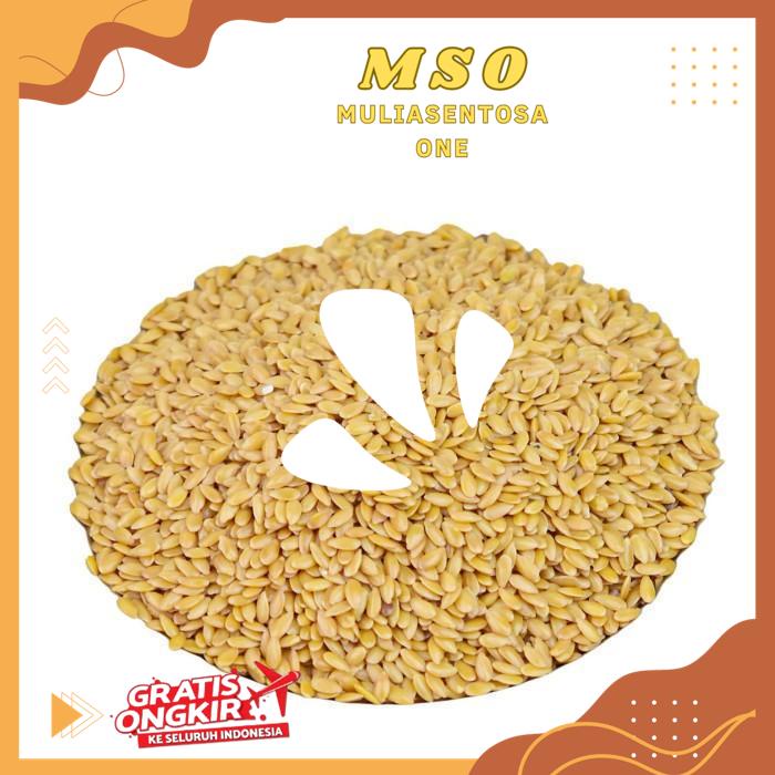 

HOUSE OF ORGANIX GOLDEN FLAXSEED 250 GR PODUK BAHAN BERKUALITAS !!