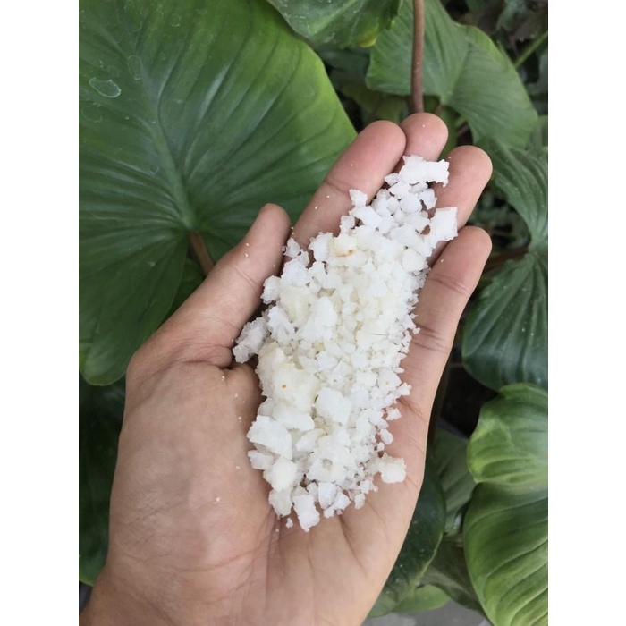 

Garam Kasar Kristal Krosok Natural Madura Kemasan Zak 20 kg Best Seller