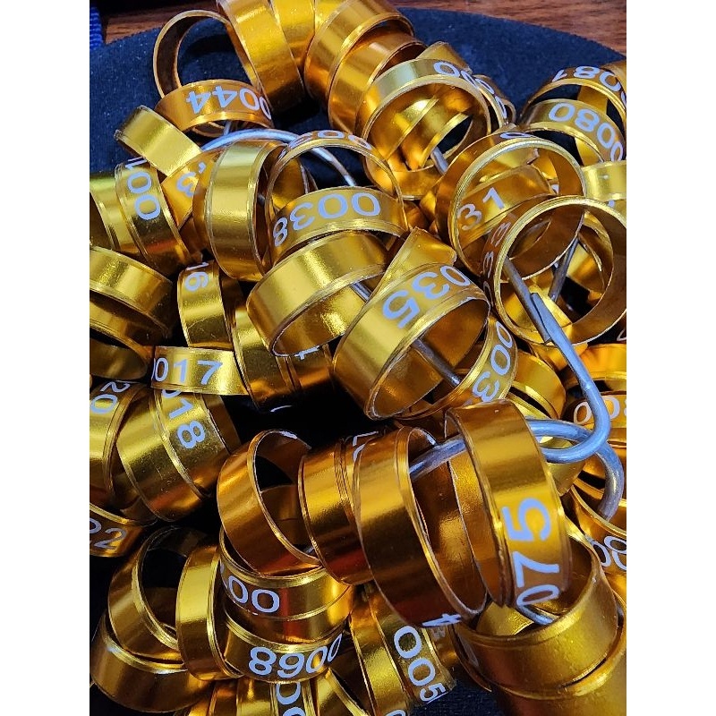 Lima Buah Ring Ayam Gold Cincin Ayam Tarung Plus Nomor