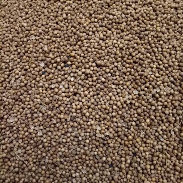 

Ketumbar Hitam (5 Gram)