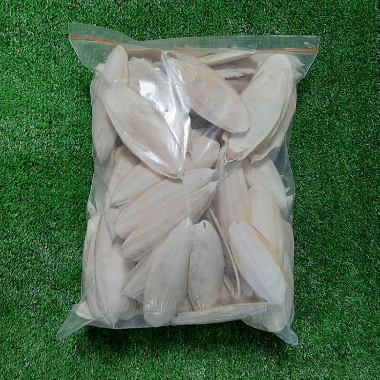 

Ready Tulang Sotong Kalsium Burung Reptil Kura Torto 4-6cm