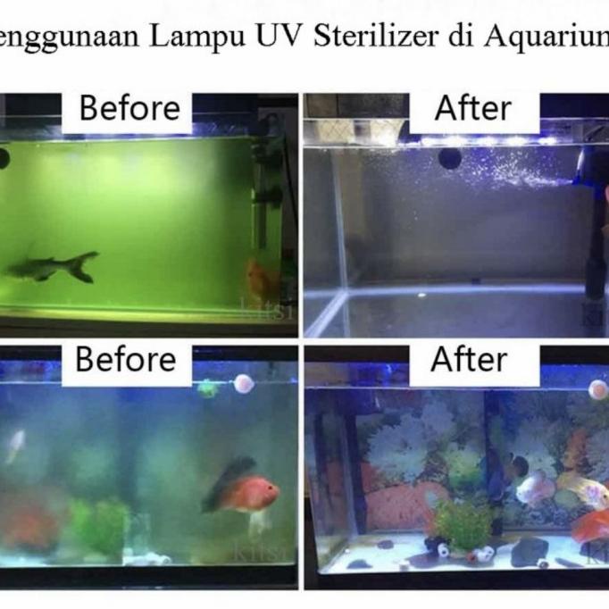 Lampu UV Aquarium Yamano 7 Watt Pembasmi Lumut