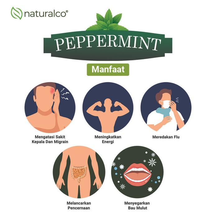 

Hot - Naturalco Peppermint Tea 30 Tea Bags | Teh Bunga Peppermint 30 Kantong !