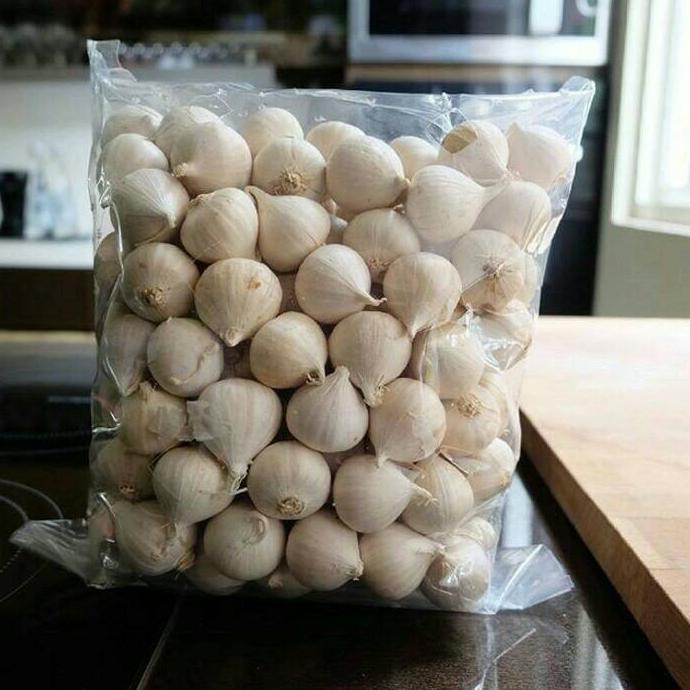 

Bawang Putih Tunggal / Bawang Lanang 1KG /Bawang Kesehatan Herbal