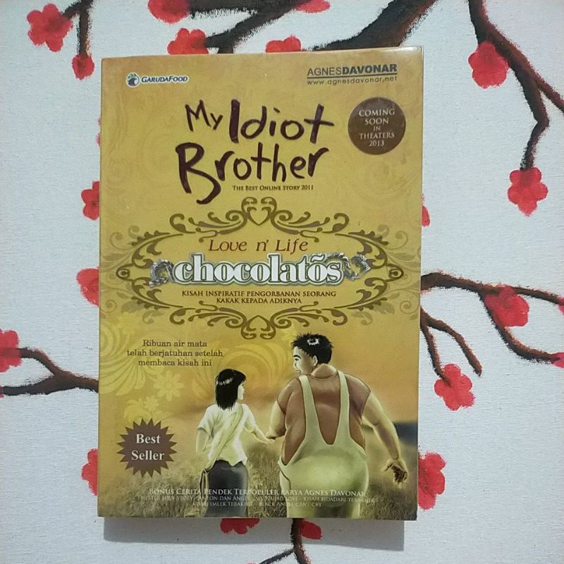 novel bekas my idiot brother