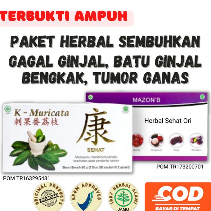 

Obat Herbal Gagal Ginjal Batu Ginjal Bengkak Mazon B dan K Muricata