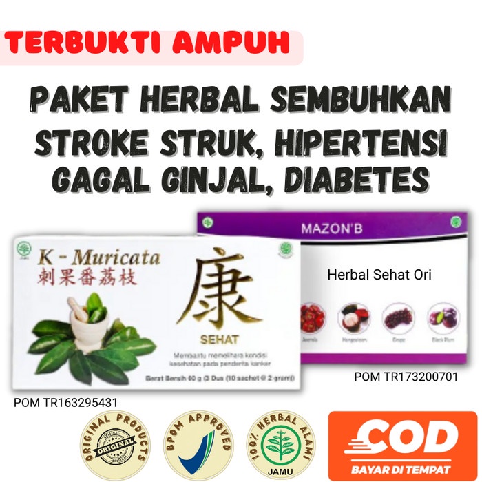 

Obat Herbal Terapi Stroke Struk Hipertensi Mazon B dan K Muricata