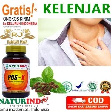 

Obat Herbal POS-K Naturindo (Spesial Solusi Pembengkakan)