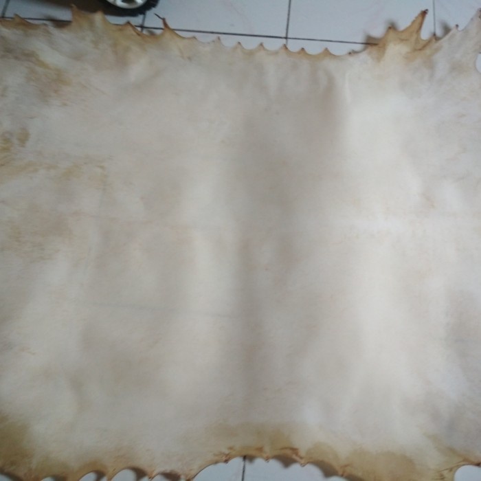 Kulit Kambing Lembaran Hadroh Kendanf Marawis Jimbe