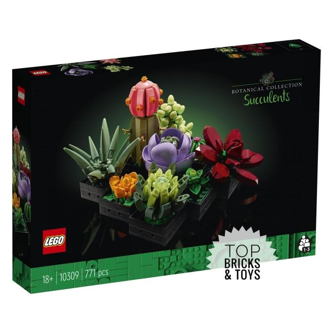 LEGO Icons, Succulents (10309)