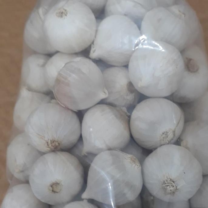 

Bawang Putih Tunggal/Bawang Lanang 1kg