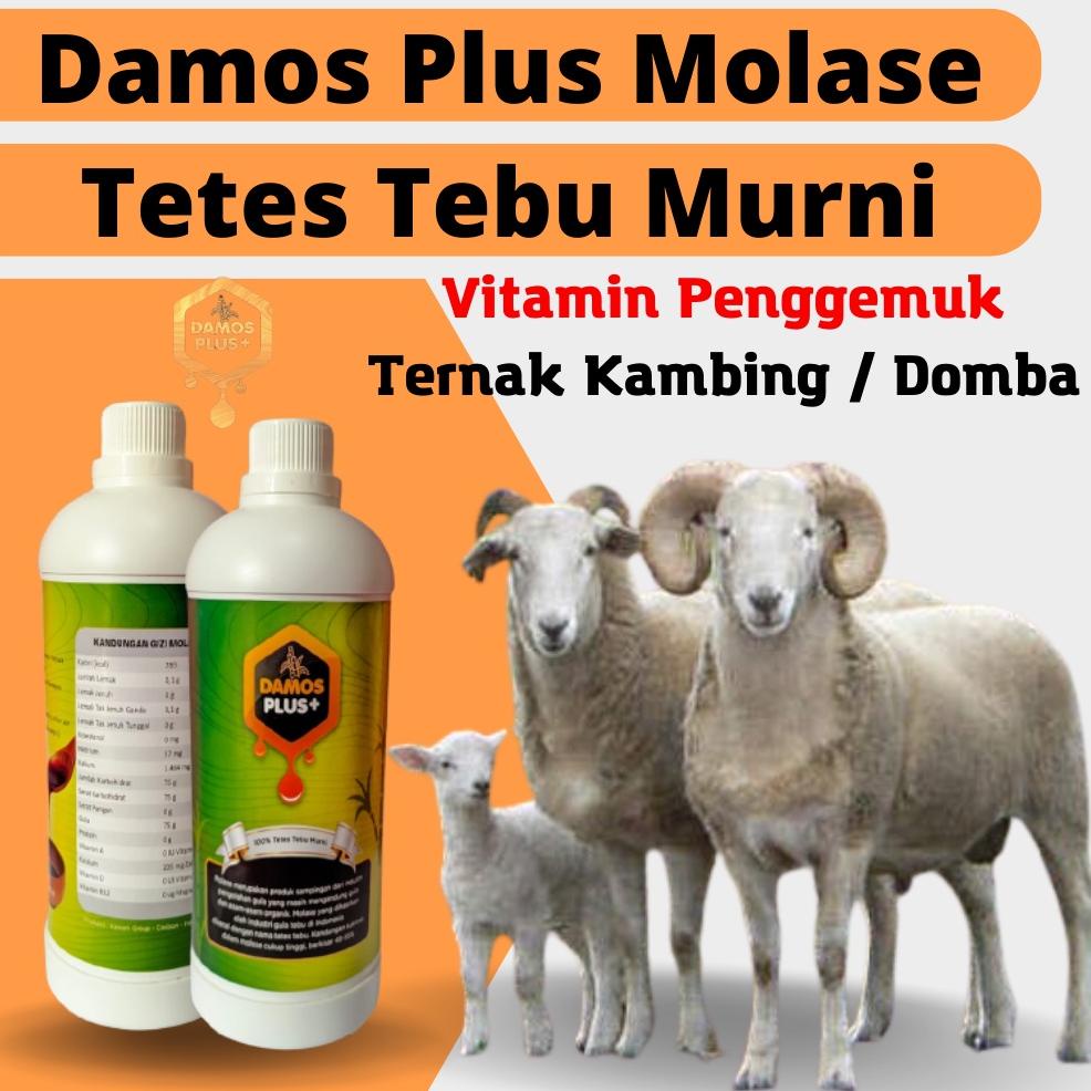 New Nutrisi Penggemuk Hewan Ternak | Damos Plus Nutrisi Pakan Ternak Dan Perikanan, vitamin penggemu