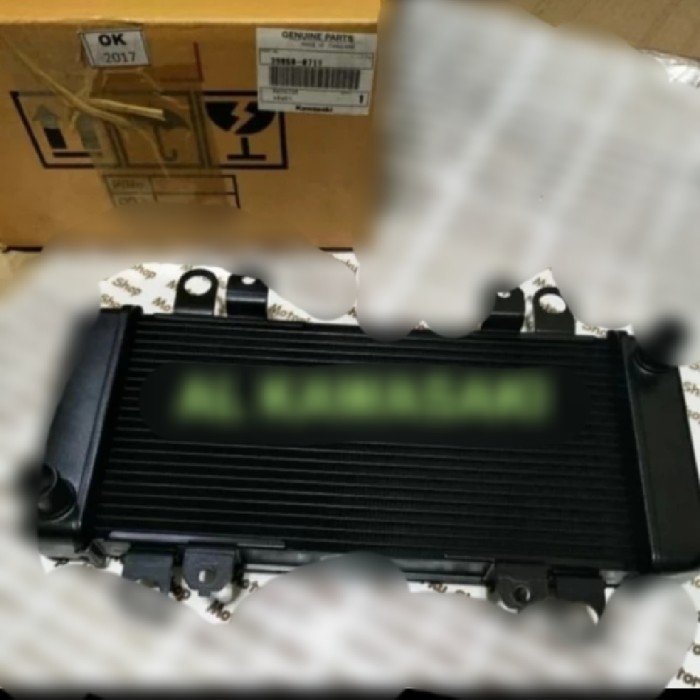 [Ori] Termurah Radiator Assy Radiator Kawasaki Ninja 250 Fi Z250 Fi Original Terbatas