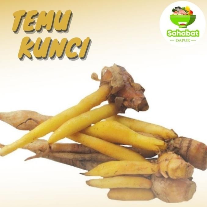 

Termurah Temu Kunci 500gr / 250gr / 100gr / Bumbu Dapur / Rempah- Sahabatdapur