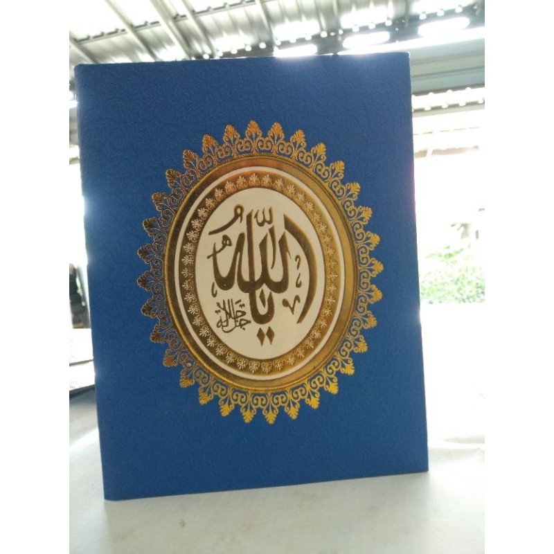 

caver Yasin RCP 16 N