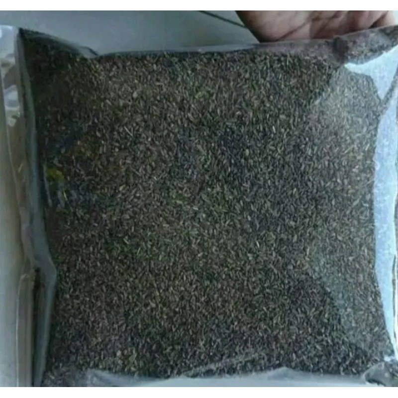 Bibit/Benih Wortel brastagi 1 kg