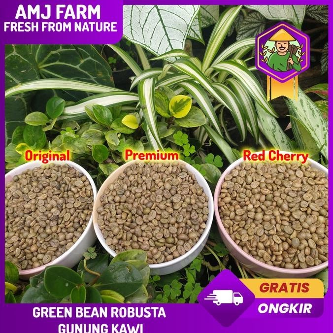 

Kopi Robusta Gunung Kawi Green Bean 1 Kg Biji Kopi Pilihan