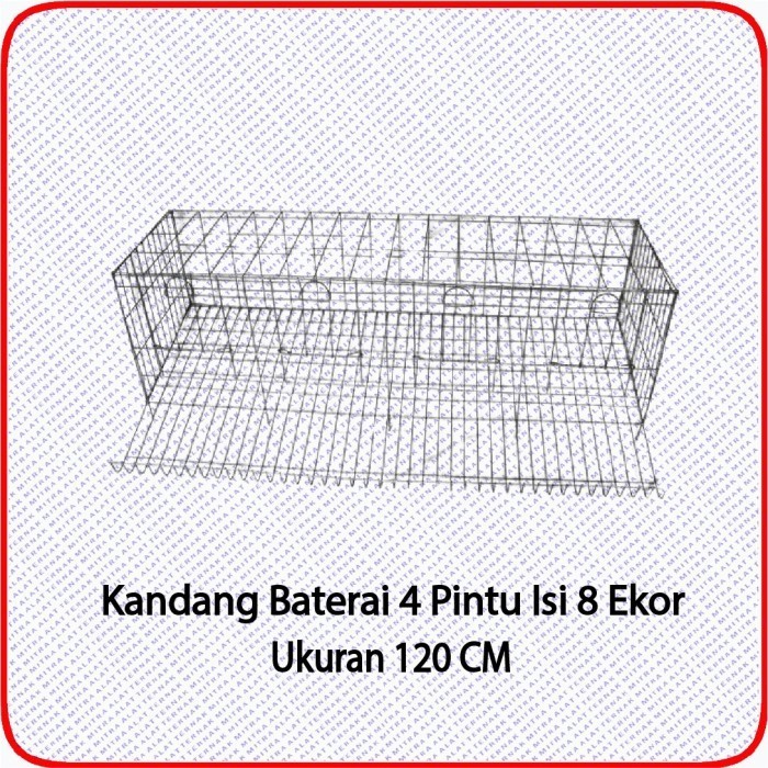 Terlaris Kandang Baterai Kawat Ayam Petelur Promo Terbaru