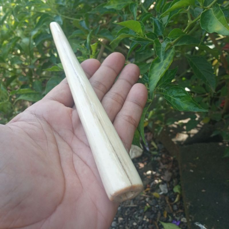 TERLARIS  Once Cangklong Roko Tulang marlin i> 20cm TERBARU