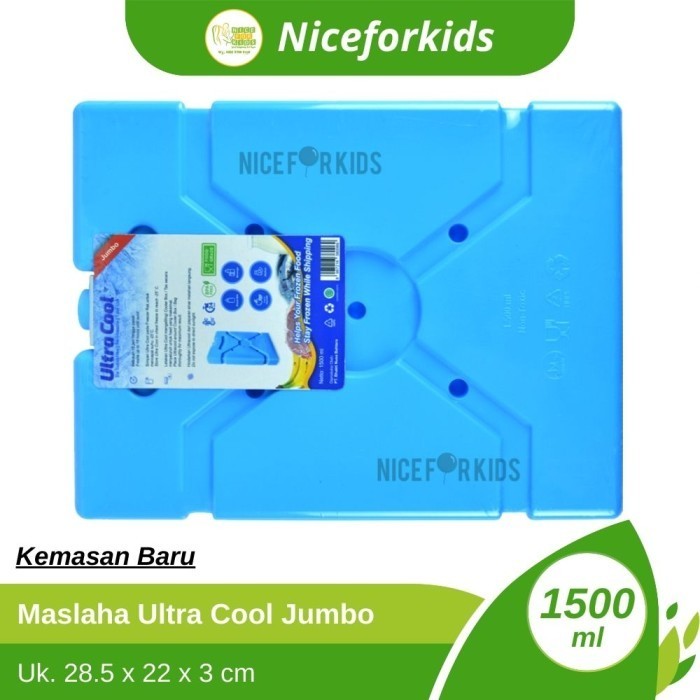 Ice Pack Jumbo, Ice Pack Pengganti Es Batu, Ice Cool Pack Besar 2 kg