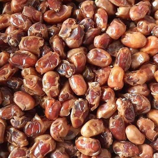 

Kurma - Kurma Barhee 3Kg/Kurma Barhii 3Kg Expd 2022