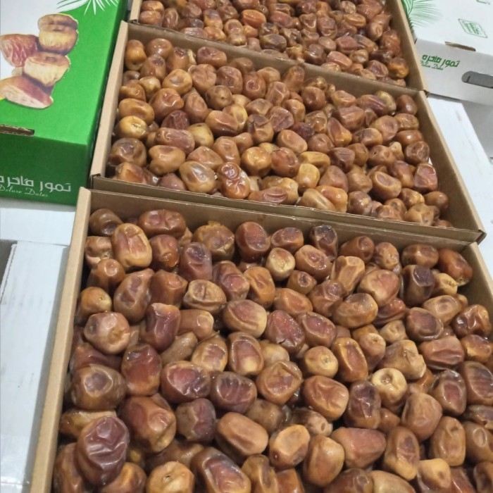 

Kurma - Kurma Sukari / Kurma Raja 1 Dus 3Kg