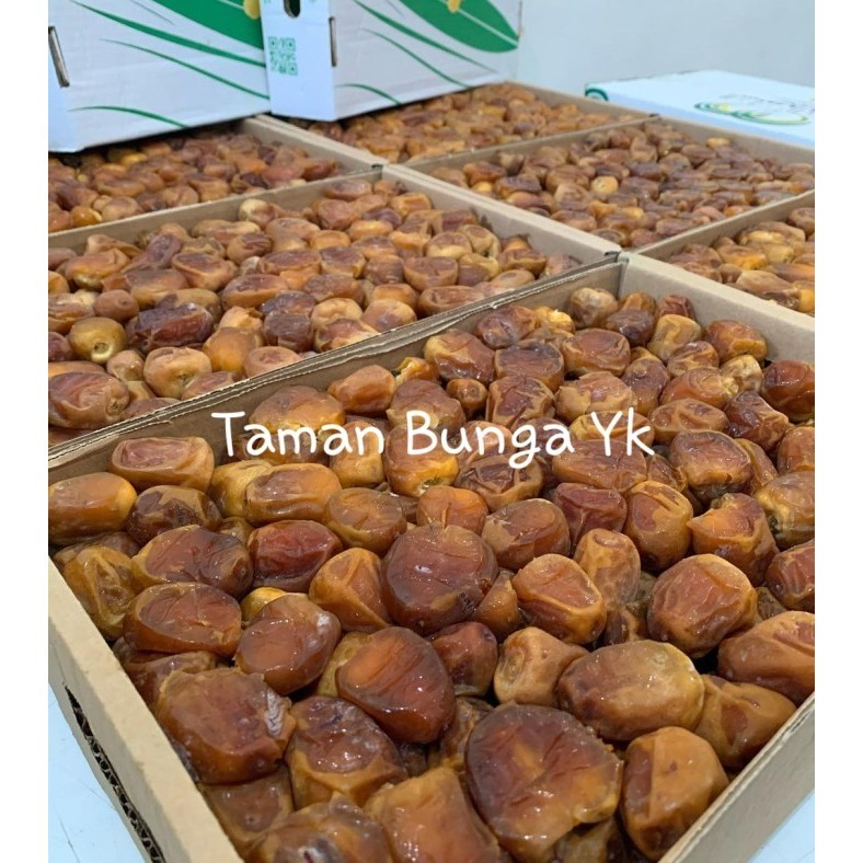 

Kurma - Kurma Sukari / Kurma Raja Al Qasim Premium Asli 3Kg (100% Original)