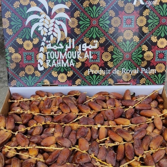 

Kurma - Kurma Tunis Tangkia1Kg Tunis Tangkia Kurma Tangkia I Palm Royal