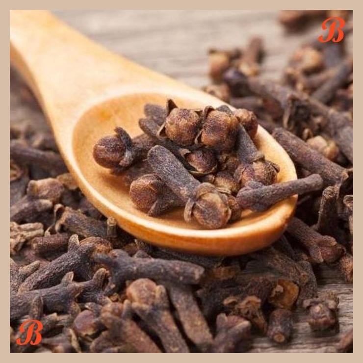 

| HOF | CENGKEH KERING DRIED CLOVE
