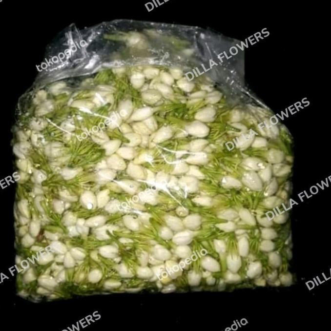 Berkualitas bunga melati segar 