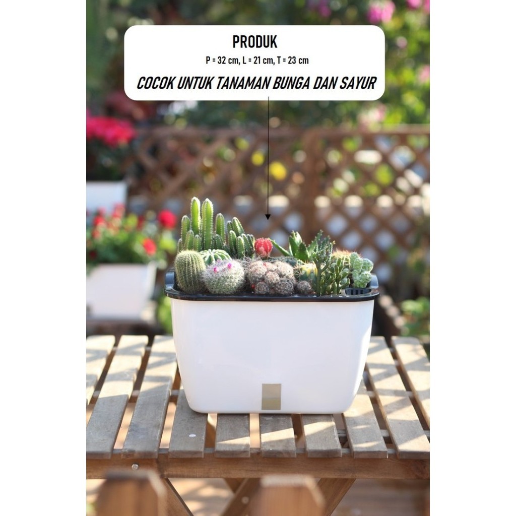 POT TANAMAN OTOMATIS / SELF WATERING POT / POT HIDROPONIK / POT TANAM