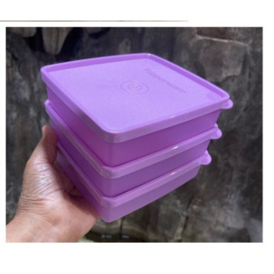 Bergaransi Kotak Makan Tempat Bekal Tupperware Kecil Mini Square Away Limited