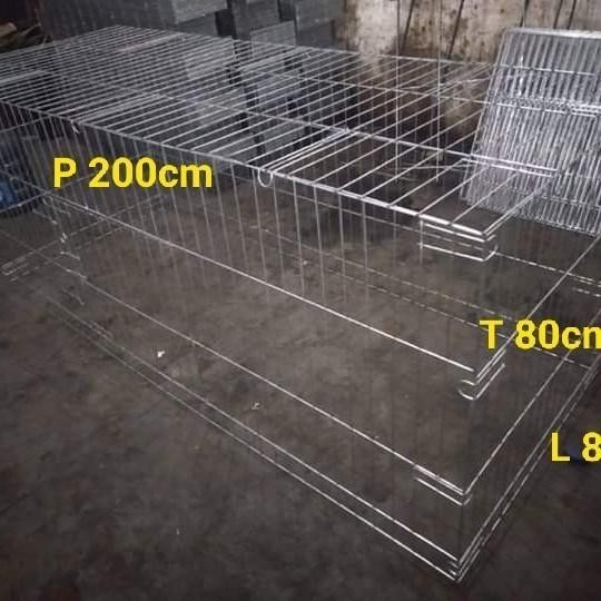 Kurungan Umbaran Ayam Jago Bangkok Panjang 2 Meter Bahan Besi Galvanis